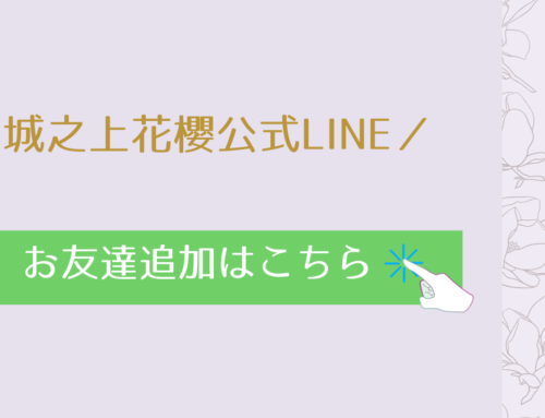 新メニューのご案内｜90分スタイリング相談